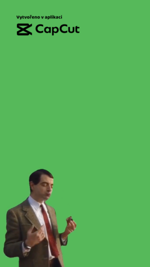 🎬 Ukázka TikTok šablony